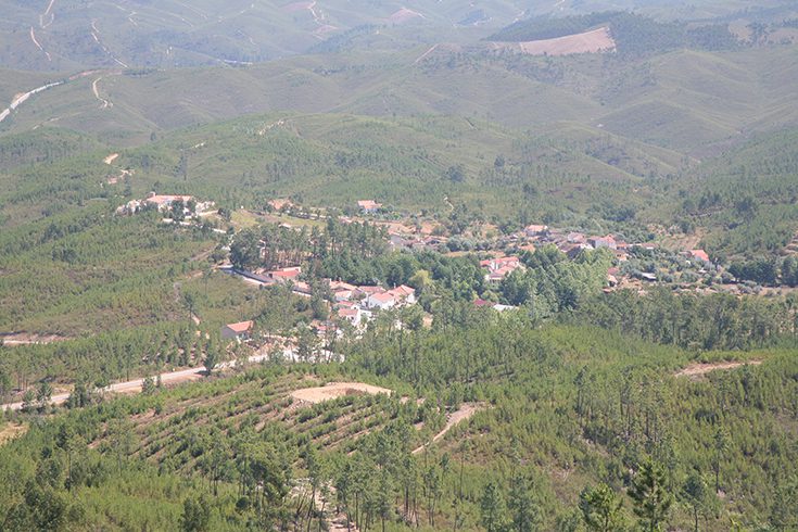 Relva