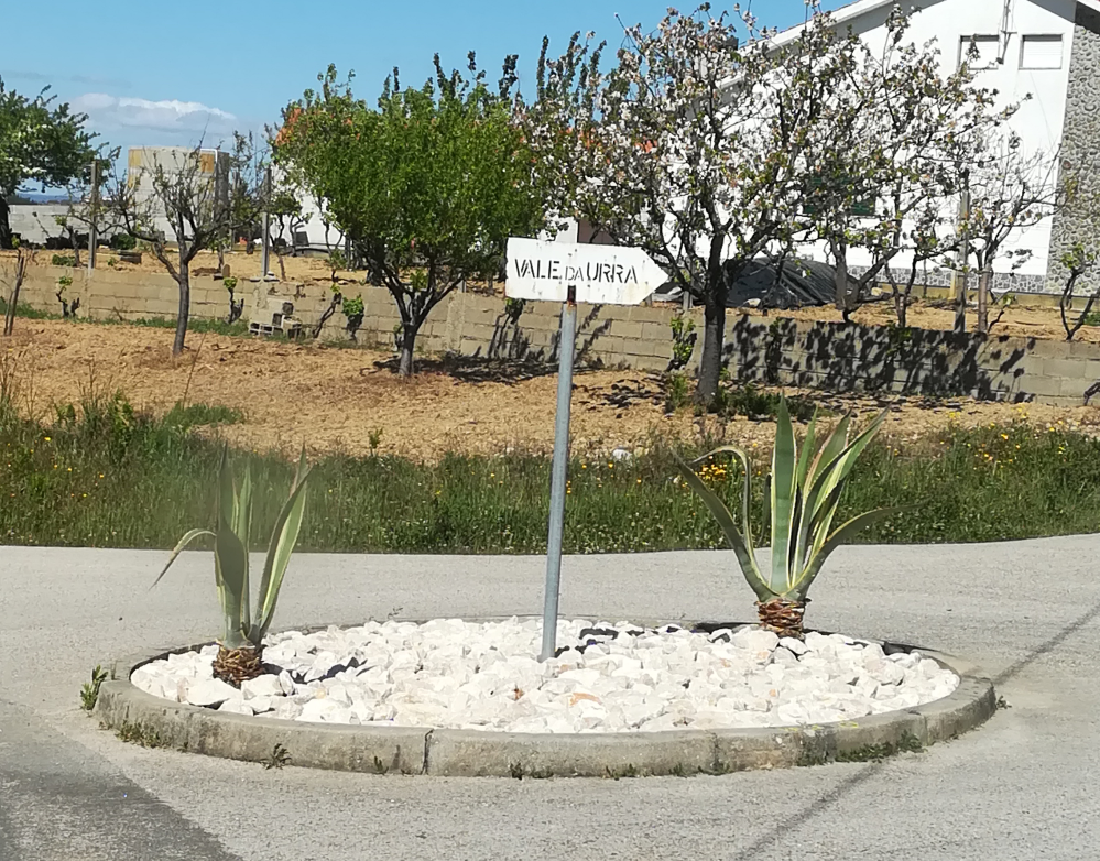 Cruzamentos