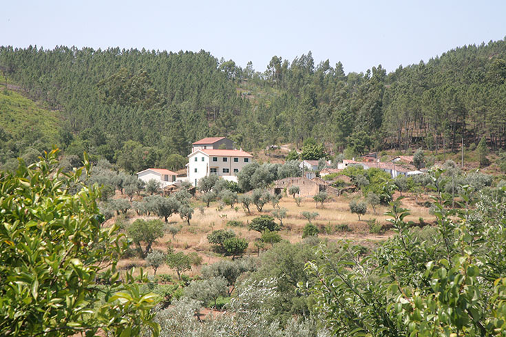 Couço Cimeiro