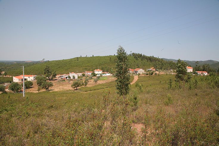 Pereiro Cimeiro
