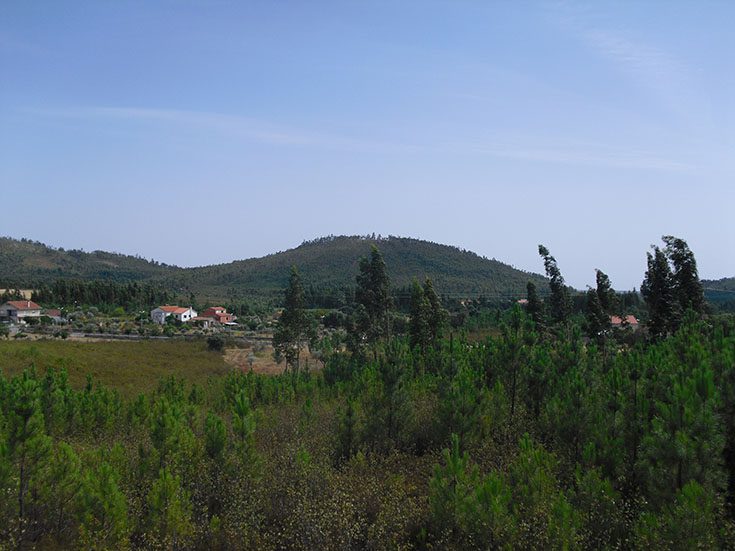 Varzea de Ordem